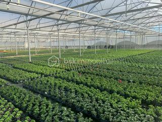  Propri�t�/ch�teau � vendre 4 pi�ces 120 m�