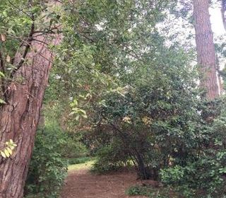  Propri�t�/ch�teau � vendre 9 pi�ces 260 m�