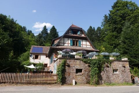Dpt Bas-Rhin (67), &agrave; vendre proche de Strasbourg : Auberge - Gite - Emplacement N&deg; 1 - Massif Vosgien - 1 155 m2 - Propri&eacute;t&eacute; 17, 549875 67210 Obernai