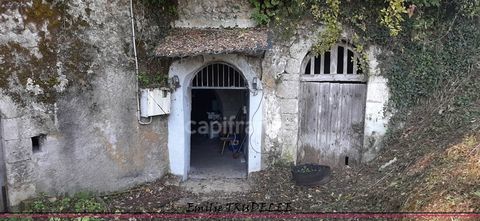 &agrave; vendre LA CHARTRE SUR LE LOIR (72) Cave Authentique de 80 m&sup2; dans la Roche sans terrain 18000 72340 La chartre sur le loir