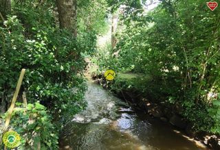  Propri�t�/ch�teau � vendre 5 pi�ces 110 m�