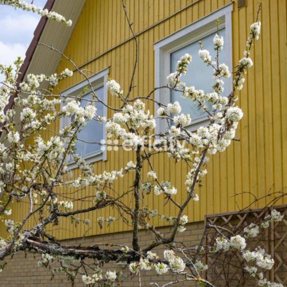 � vendre  Maison �chenevex (01170)