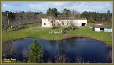   ensemble de 2 maisons+ dependances + grand terrain + �tang Propri�t�/ch�teau - 8 pi�ce(s) - 228 m�