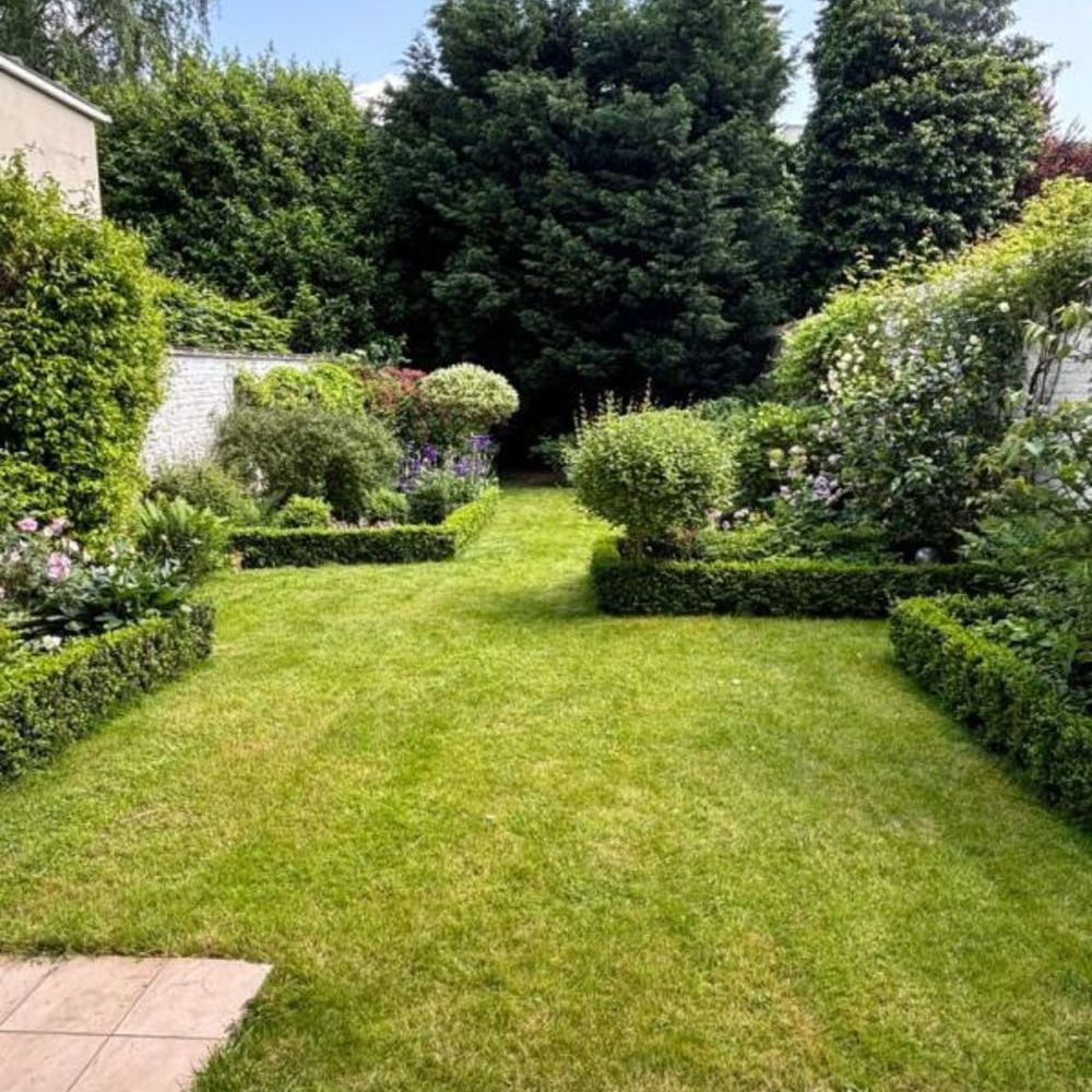 � vendre  Maison Lille (59000)