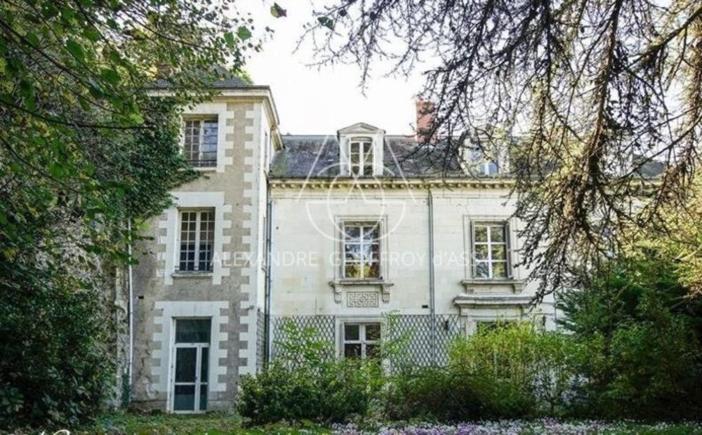 � vendre  H�tel Particulier Tours (37000)