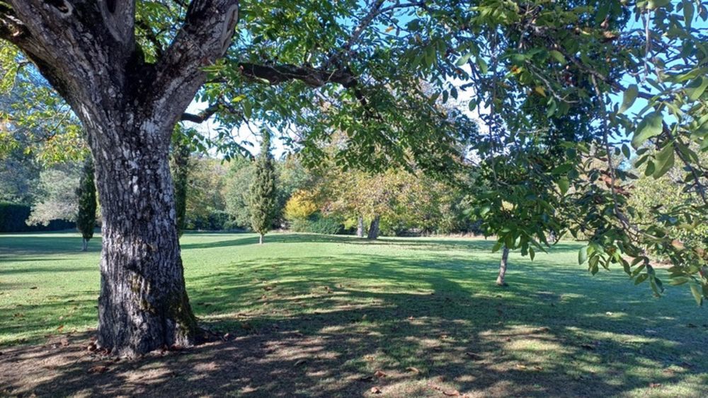 � vendre  Propri�t�/ch�teau P�rigueux (24000)