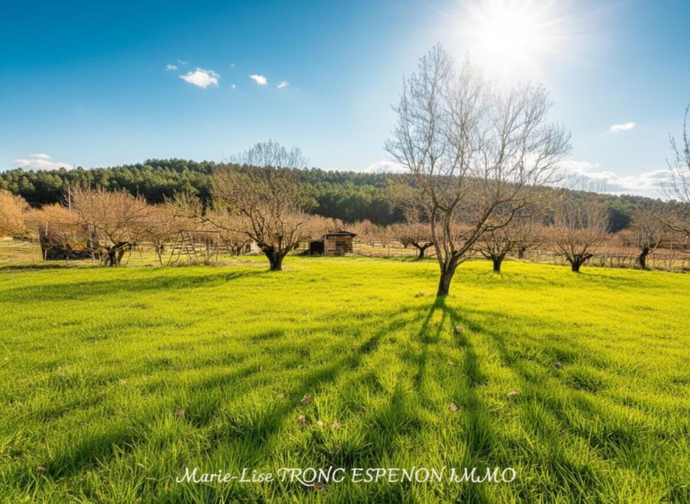 � vendre  Maison Pernes-les-Fontaines (84210)