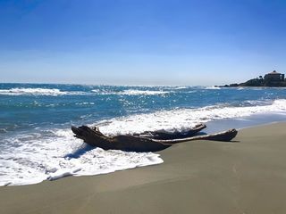  Appartement � vendre 3 pi�ces 45 m�