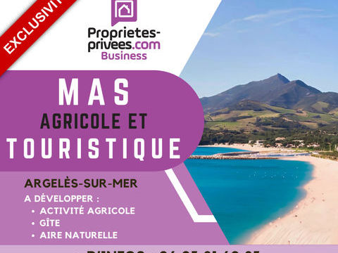 ARGELES SUR MER - Mas Agricole et Touristique 729000 66700 Argeles sur mer
