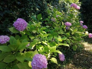  Maison � vendre 7 pi�ces 150 m�