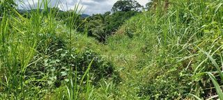  Terrain � vendre 5303 m�