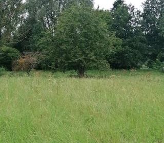  Terrain � vendre 1917 m�