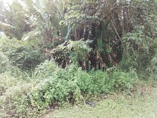  Terrain � vendre 4262 m�