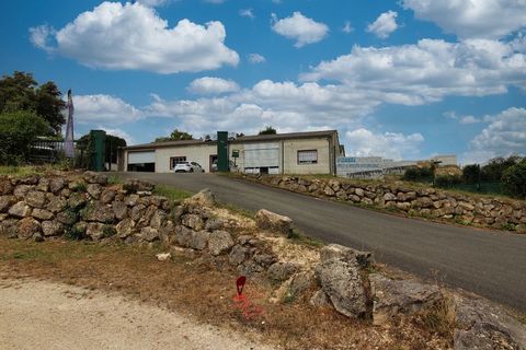 Local artisanal &agrave; vendre GREZILLAC (33) 395000 33420 Branne