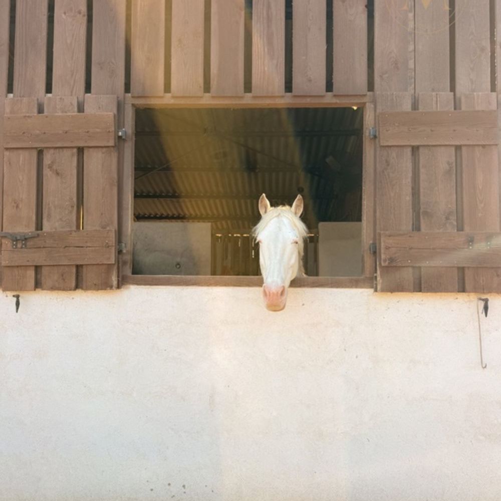 � vendre  Propri�t�/ch�teau Tournon-d'Agenais (47370)