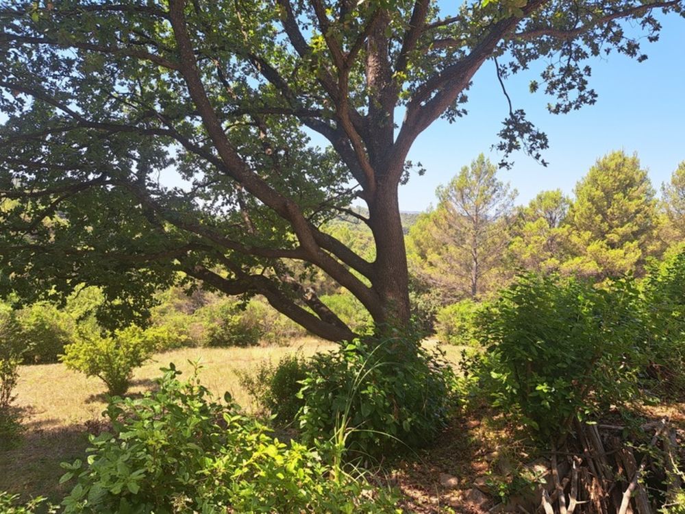 � vendre  Maison Auriol (13390)