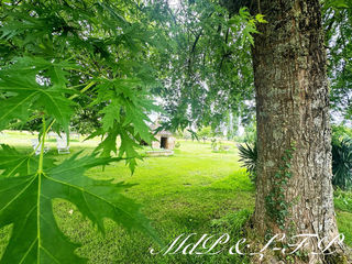  Maison � vendre 15 + pi�ces 700 m�