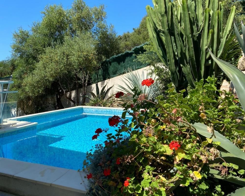 � vendre  Appartement Ajaccio (20000)