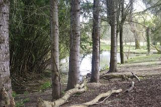  Maison � vendre 8 pi�ces 245 m�