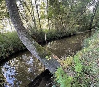  Ferme � vendre 4 pi�ces 60 m�