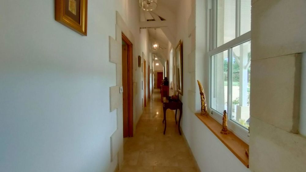 � vendre  Propri�t�/ch�teau Saint-Seurin-de-Prats (24230)