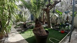  Appartement � vendre 3 pi�ces 76 m�