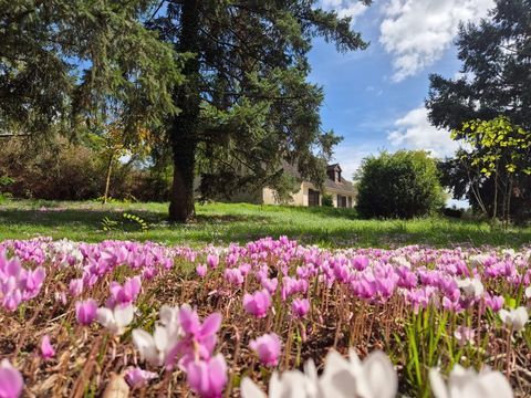   Dpt Cher (18), � vendre CULAN maison P6 de 145,2 m� - Terrain de 3 110,00 m� - Plain pied Maison - 6 pi�ce(s) - 145 m�