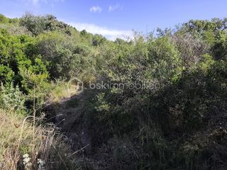  Terrain � vendre 2420 m�