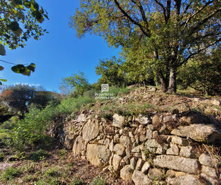  Terrain � vendre 785 m�