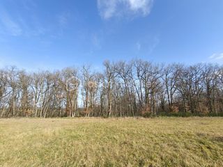  Terrain � vendre 815 m�