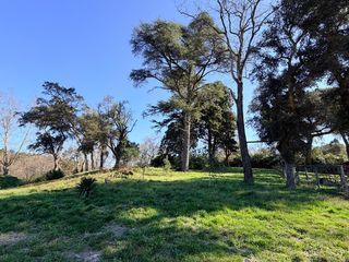  Maison � vendre 5 pi�ces 141 m�