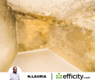  Appartement � vendre 2 pi�ces 25 m�