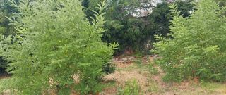  Terrain � vendre 850 m�