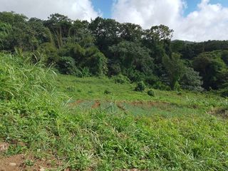  Terrain � vendre 583 m�