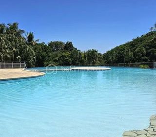  Appartement � vendre 1 pi�ce 41 m�