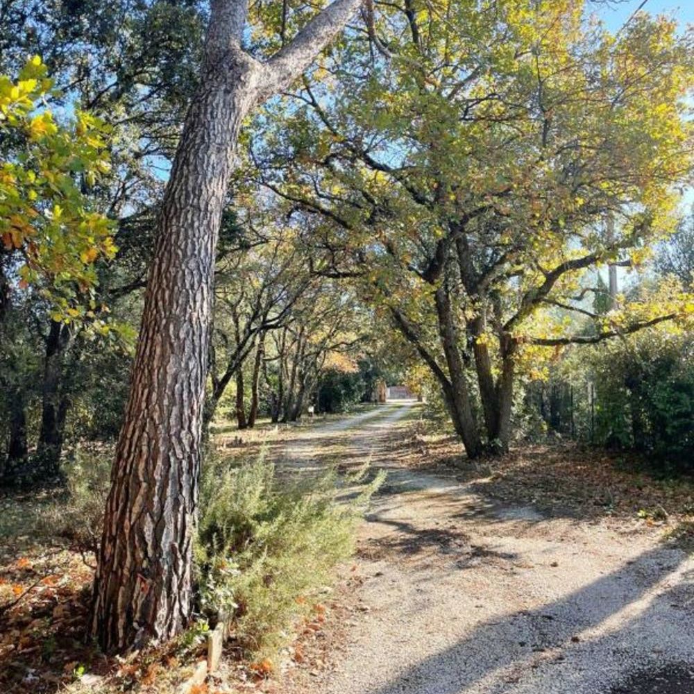 � vendre  Villa Pernes-les-Fontaines (84210)