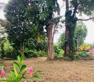  Terrain � vendre 738 m�