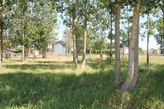  Remise / Grange � vendre 1 pi�ce 83 m�