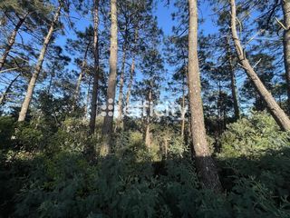  Maison � vendre 2 pi�ces 31 m�