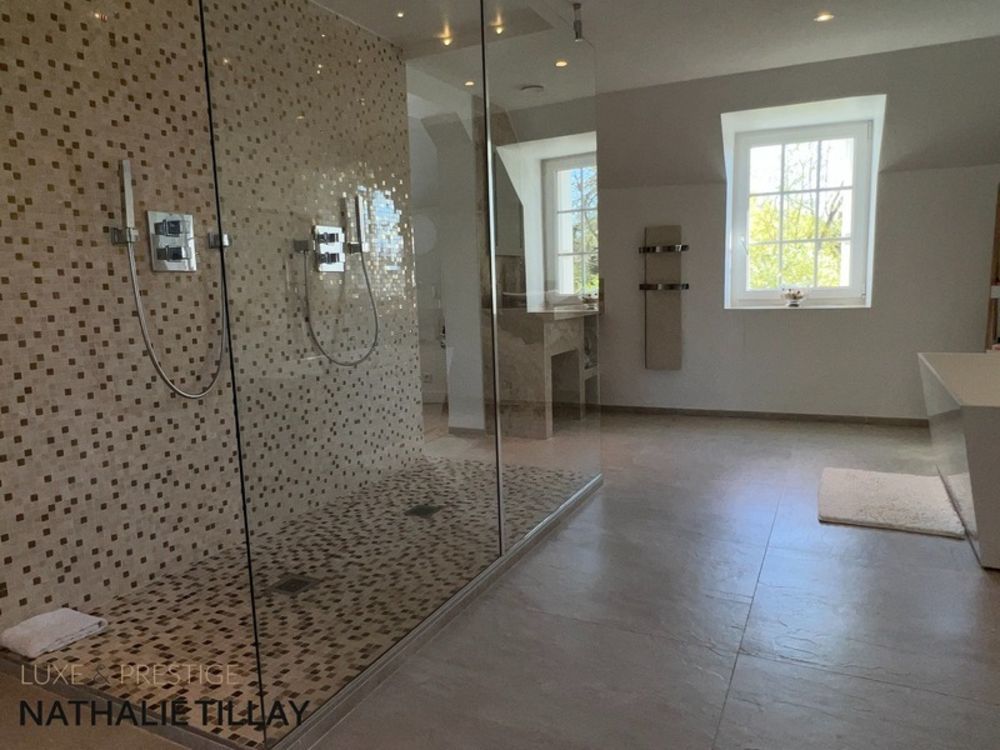 � vendre  Propri�t�/ch�teau Orl�ans (45000)