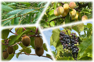  Maison � vendre 7 pi�ces 147 m�