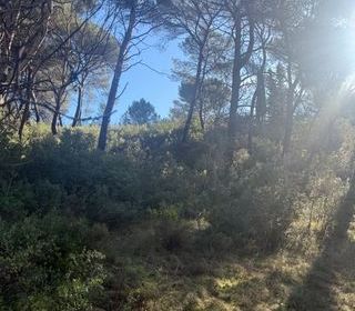  Maison � vendre 3 pi�ces 100 m�