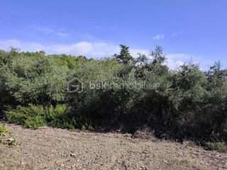  Terrain � vendre 2420 m�