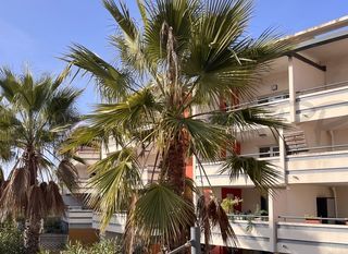  Appartement � vendre 2 pi�ces 42 m�