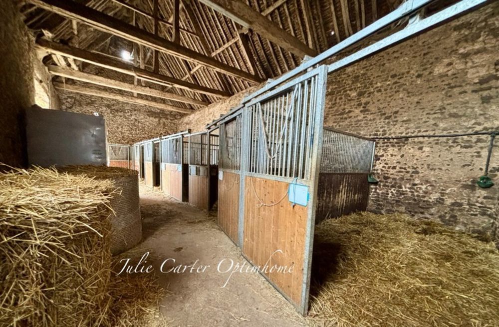 � vendre  Propri�t�/ch�teau Avoine (61150)