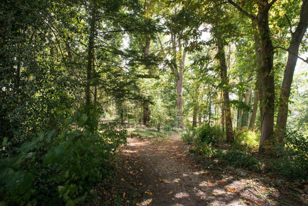 � vendre  Propri�t�/ch�teau Vittonville (54700)