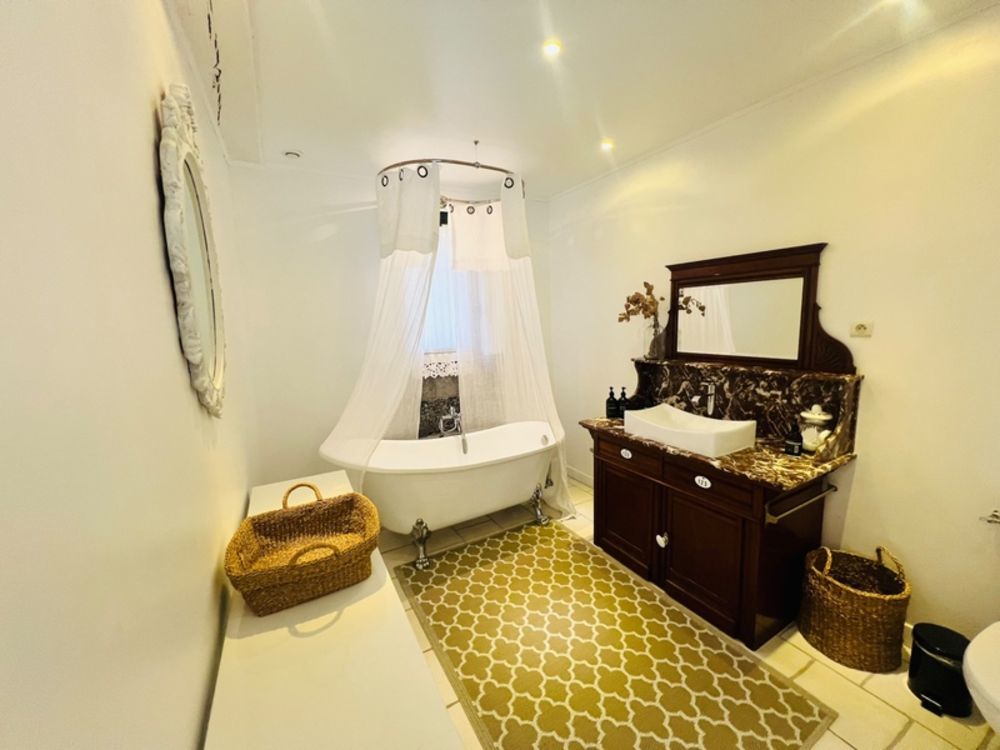 � vendre  Propri�t�/ch�teau Les Ormes (86220)