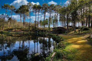  Propri�t�/ch�teau � vendre 2 pi�ces 17317 m�