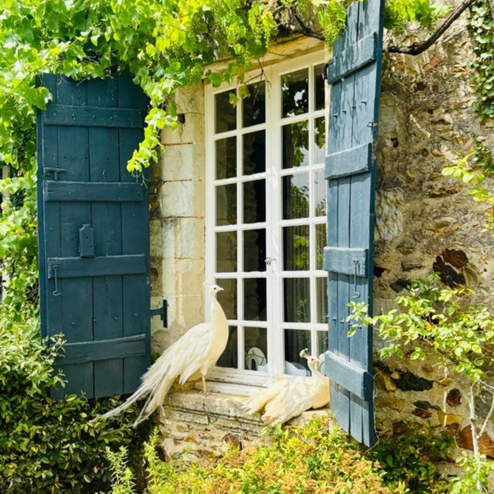 � vendre  Propri�t�/ch�teau Ch�teau-Gontier (53200)