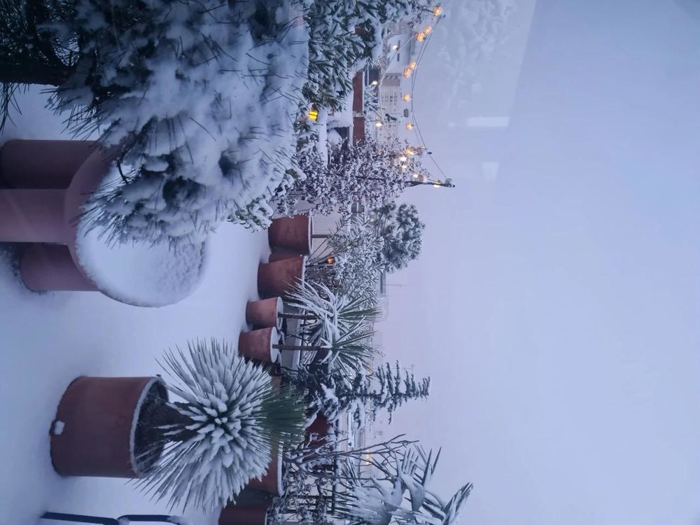 � vendre  Duplex/triplex Levallois-Perret (92300)